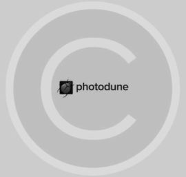 Photo Dune