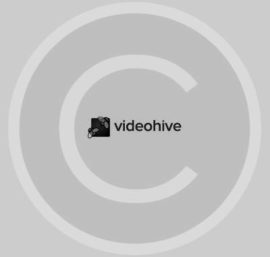 Video Hive
