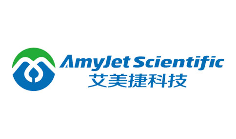 AmyJet-logo