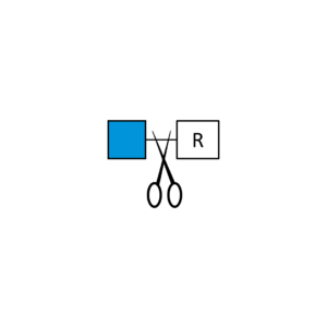 Beta-N-Acetylglucosaminidase