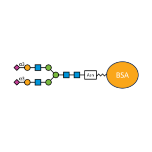 G2S2(α2,3)N-BSA