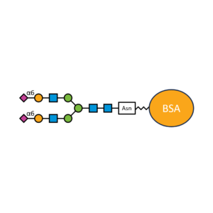 G2S2(α2,6)N-BSA