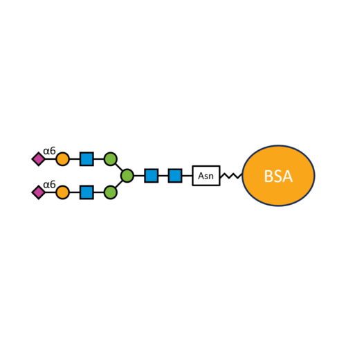 G2S2(α2,6)N-BSA