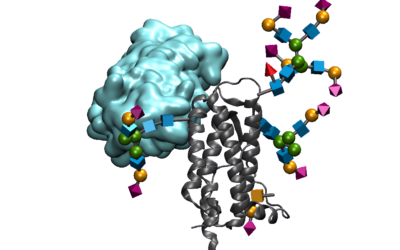 Probing for N-Glycans: N-GlyFind Tech Overview