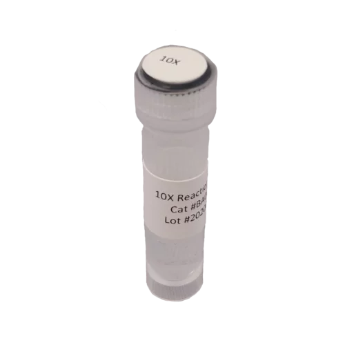 10X Reaction Buffer 2