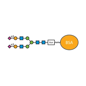 G2S2(α2,3)N-BSA